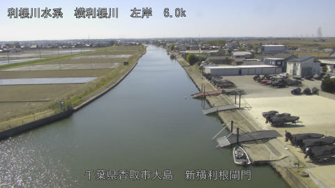 yoko2026031212_image