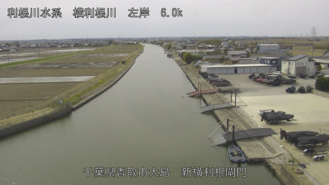 yoko2026031312_image