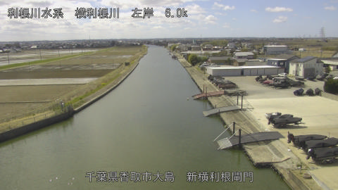 yoko2026031412_image