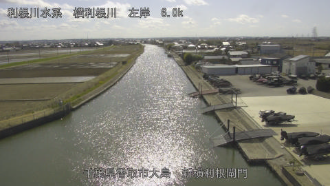 yoko2026031414_image