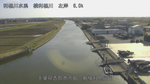 yoko2026031416_image