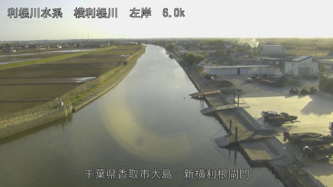 yoko2026031417_image