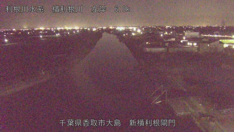 yoko2026031419_image