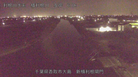 yoko2026031420_image