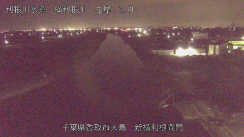 yoko2026031421_image