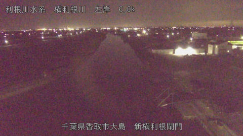 yoko2026031422_image