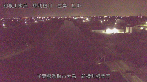 yoko2026031501_image