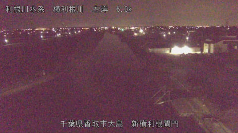 yoko2026031502_image