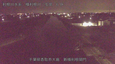 yoko2026031505_image