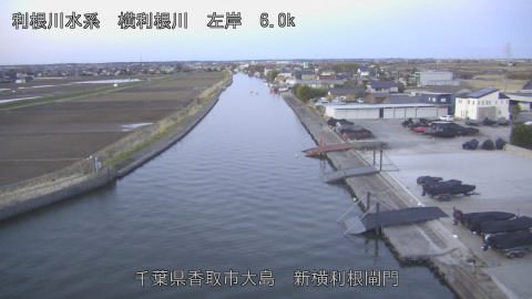 yoko2026031506_image