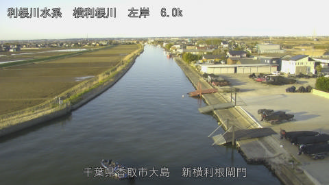 yoko2026031507_image