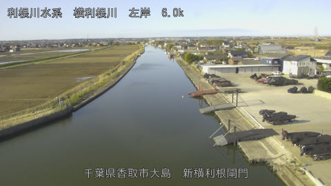 yoko2026031508_image