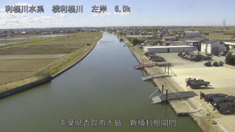 yoko2026031511_image