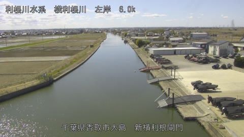 yoko2026031512_image