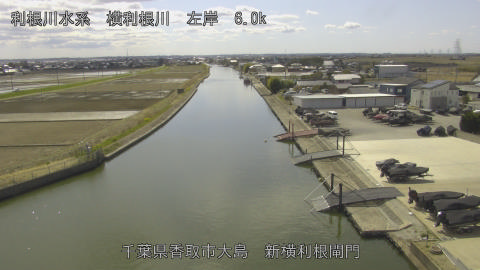 yoko2026031513_image