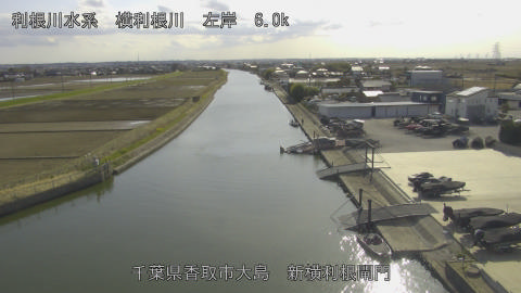 yoko2026031515_image