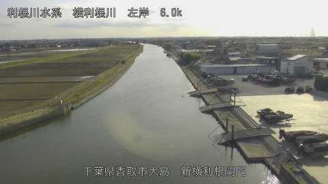 yoko2026031516_image