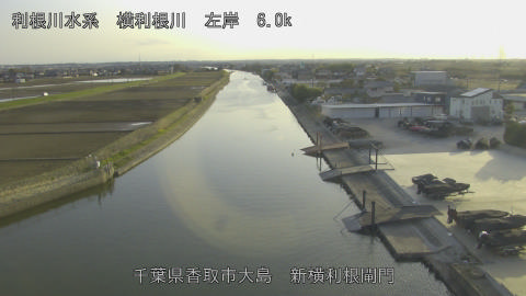 yoko2026031517_image