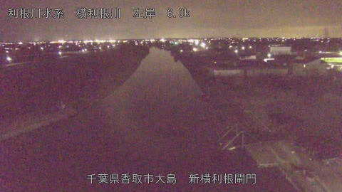 yoko2026031519_image