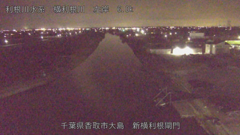 yoko2026031520_image