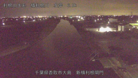 yoko2026031521_image