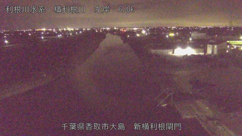 yoko2026031522_image