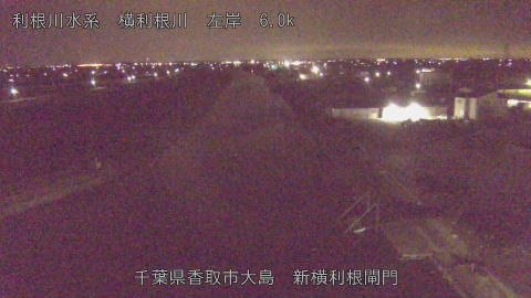 yoko2026031601_image