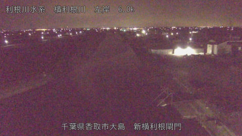 yoko2026031603_image