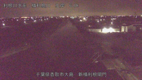 yoko2026031604_image