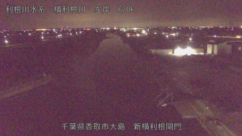 yoko2026031605_image