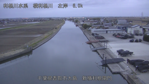 yoko2026031606_image