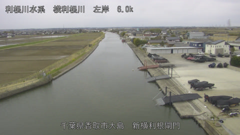 yoko2026031608_image