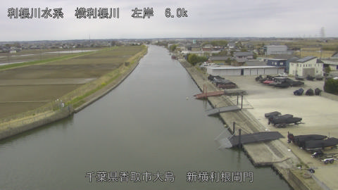 yoko2026031609_image