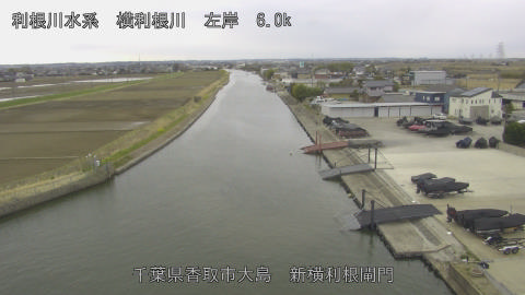 yoko2026031610_image