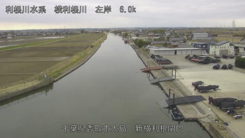 yoko2026031611_image