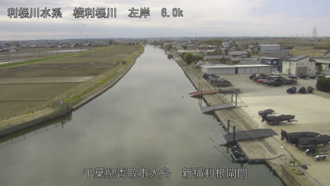 yoko2026031612_image