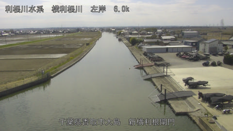 yoko2026031613_image