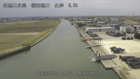 yoko2026031712_image