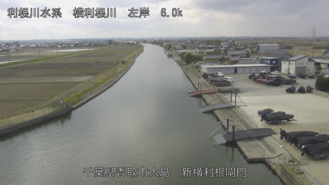 yoko2026031812_image