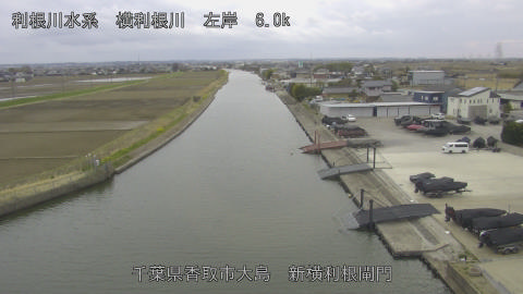 yoko2026031816_image