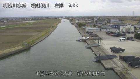 yoko2026031817_image