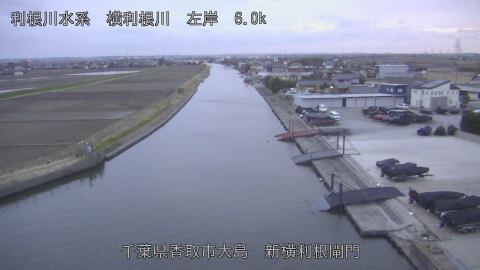 yoko2026031818_image