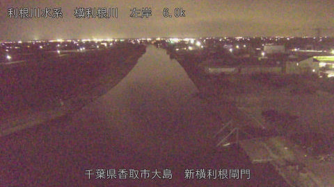 yoko2026031819_image