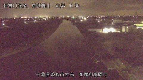 yoko2026031820_image