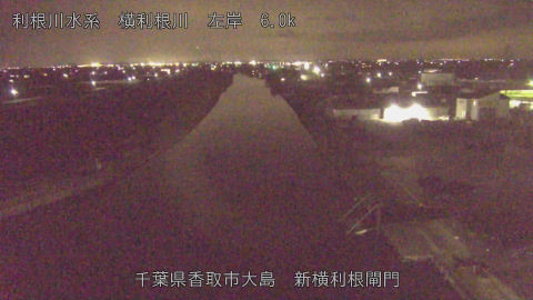 yoko2026031821_image