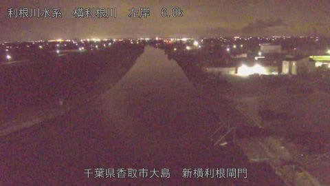 yoko2026031822_image