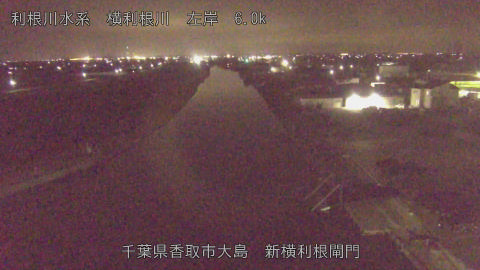 yoko2026031823_image