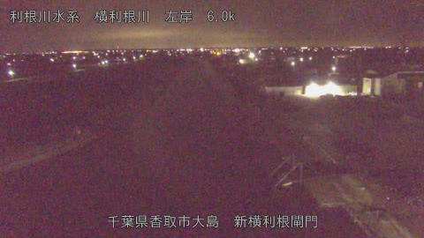 yoko2026031902_image