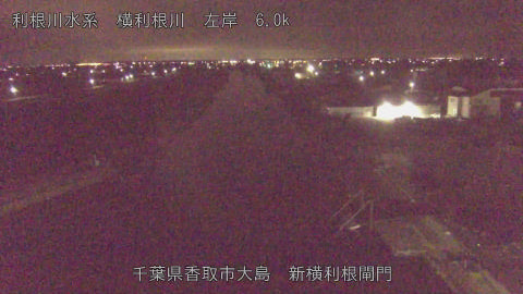 yoko2026031904_image