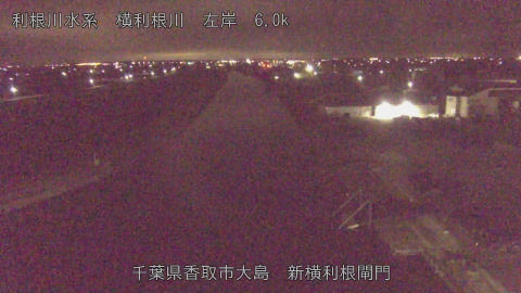 yoko2026031905_image